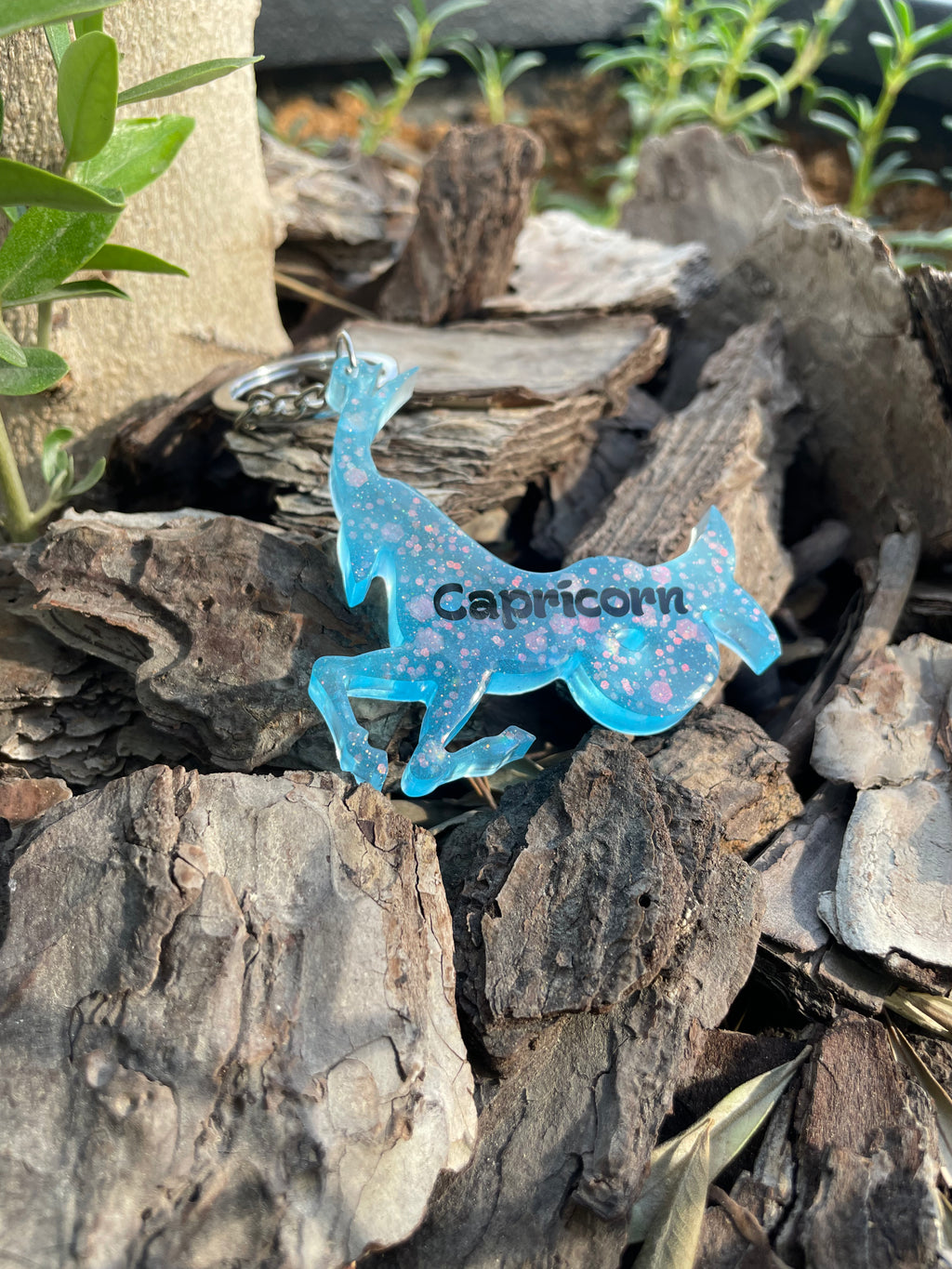 Capricorn Resin Star Sign Keychain